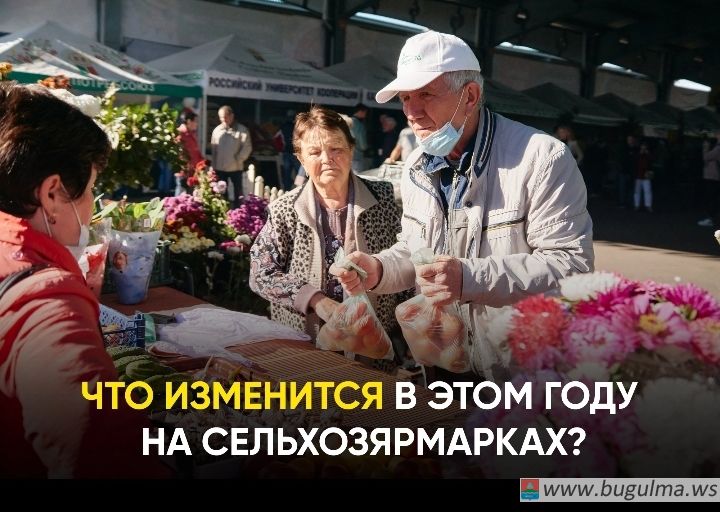 11Еженедельные сельхозярмарки в Татарстане пройдут с 14 сентября по 29 декабря.