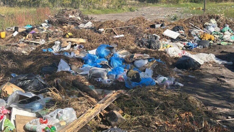 В десятки раз выросла свалка между Тихоновкой и Нижней Мактамой под Альметьевском