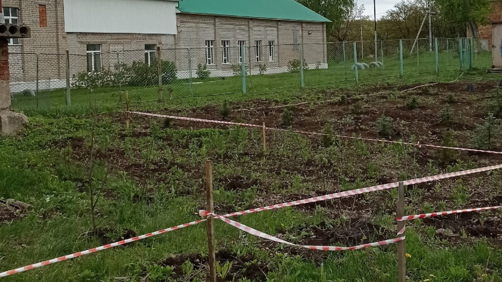 В школьном лесничестве «Дубки» Лениногорска начали создавать дендрасад