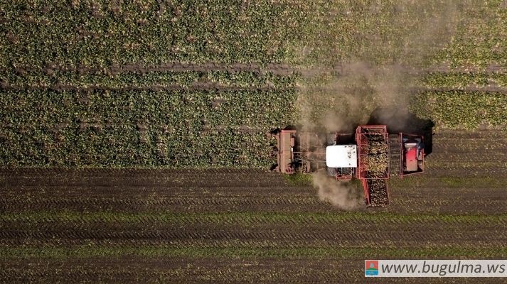 Зяббаров: В Татарстане уборка зерновых культур близится к завершению.