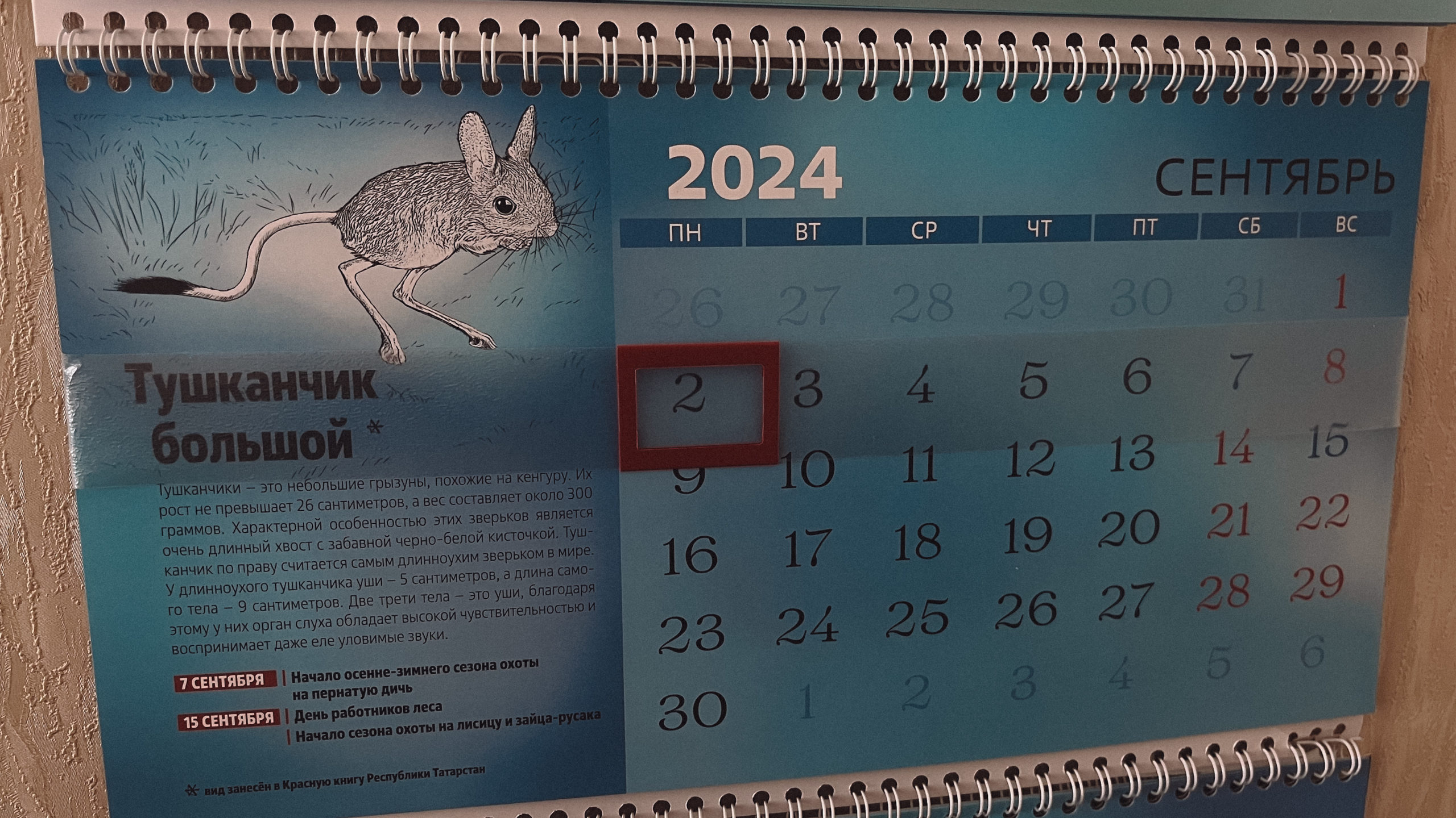 Какие праздники в сентябре 2024 года