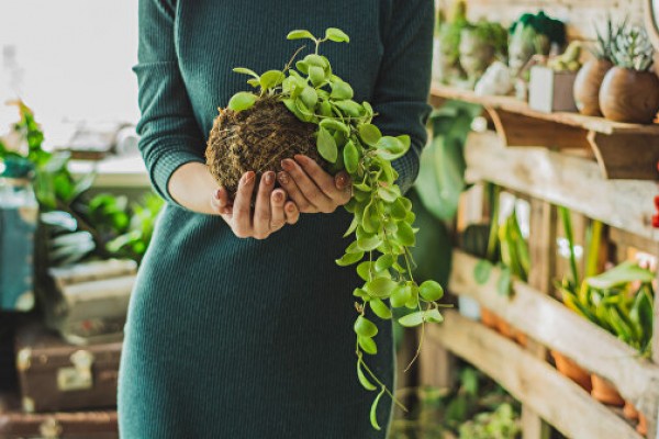 Green Market в парк Черное Озеро