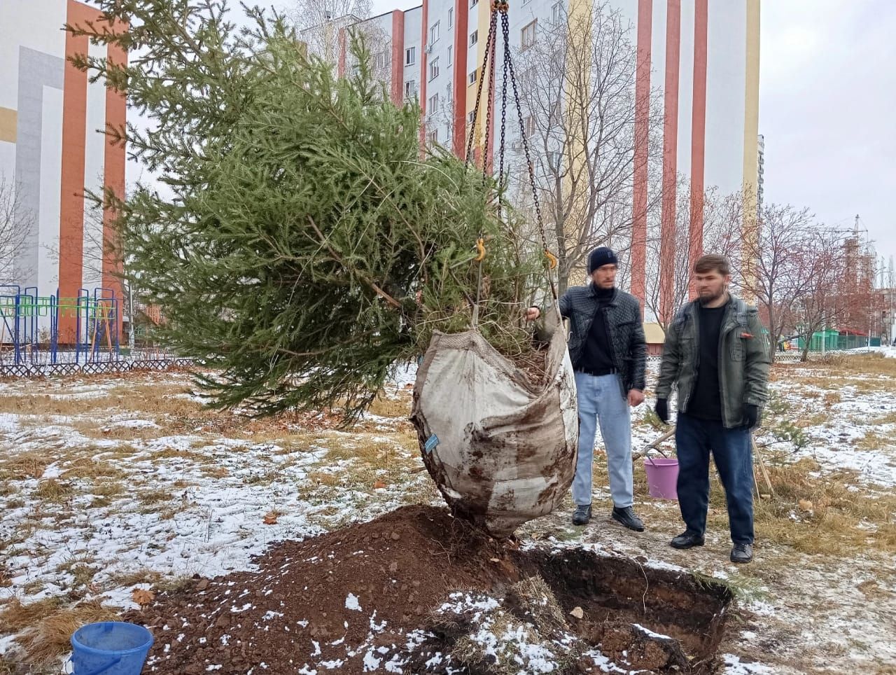 В Челнах еще одному микрорайону подарили елку на Новый год